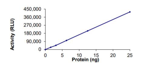 The specific activity of 2019-nCoV NSP14 Methyltransferase was determined to be 14.1 nmol/min/mg as per activity assay protocol.